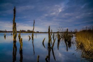 Friesland Alde feanen