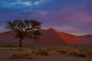 Namibië Sossusvlei