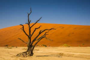 Namibië Sossusvlei