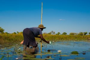 Botswana