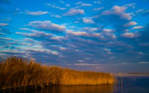 Groningen Lauwersmeer